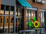 Canopy Street Lofts